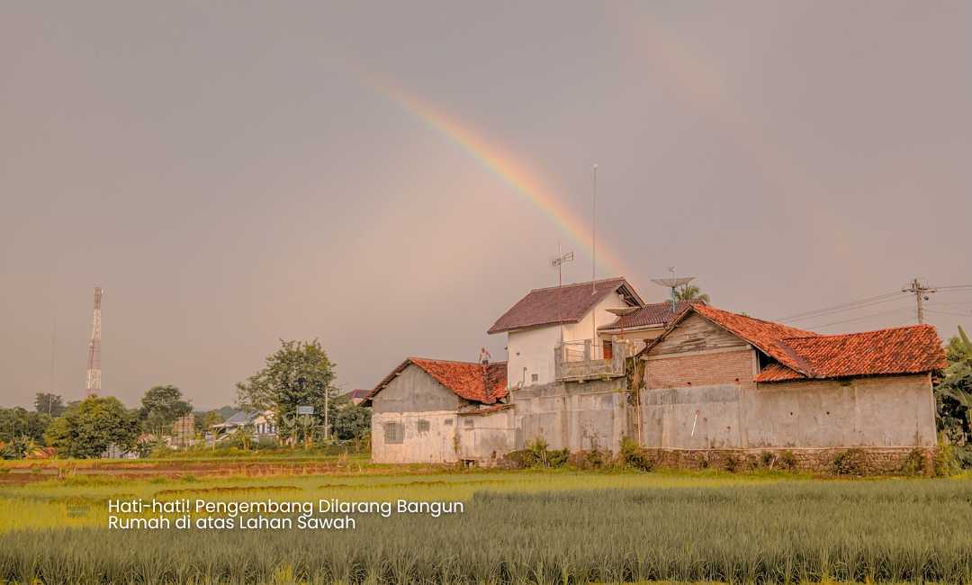 perumahan di lahan sawah