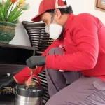 bahaya rayap untuk rumah