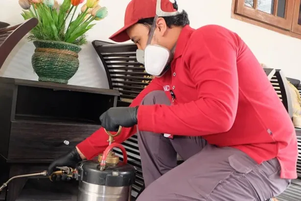 bahaya rayap untuk rumah