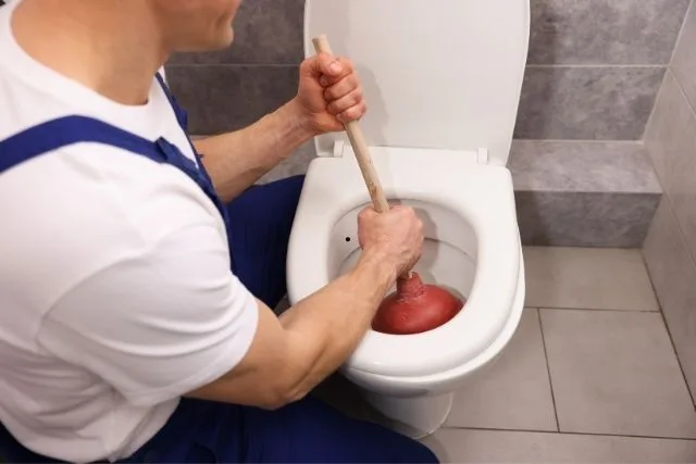sedot wc